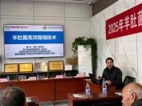 羊肚菌高效栽培技術觀摩培訓會在成都東部新區舉辦 助力鄉村振興